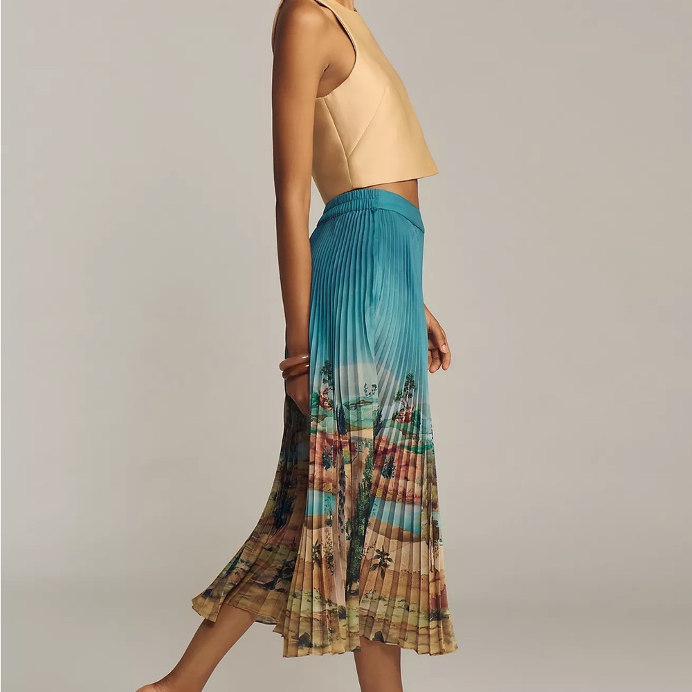 Ranna Gill Tuscany Pleated Midi Skirt Size Small NWOT Anthropologie Colorful - Picture 3 of 4